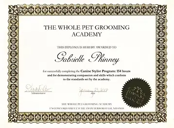 Canine Stylist Program diploma