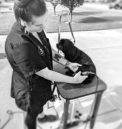 Gabrielle providing professional grooming care to a dog